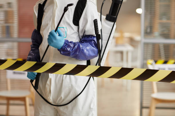 Professional Sewage Cleanup technician working in Flat Rock, MI