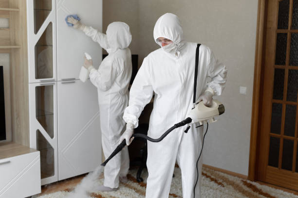 24/7 Emergency Sewage Cleanup experts in Flat Rock, MI